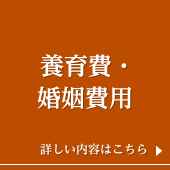 養育費・婚姻費用